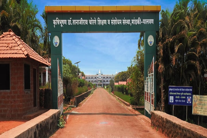 Dr Tanajirao Chorge Senior Arts and Commerce College campus in Ratnagiri, Maharashtra, India — photo 1