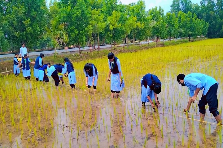 Kadiri Babu Rao College of Agriculture campus in Prakasam, Andhra Pradesh, India — photo 2