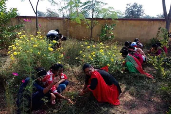 Government College campus in Sarona, Chhattisgarh, India — photo 6