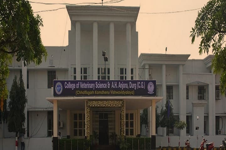 College of Veterinary Science and Animal Husbandry campus in Durg, Chhattisgarh, India — photo 2