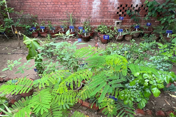 Dayalbagh Homoeopathic Medical College campus in Agra, Uttar Pradesh, India — photo 2