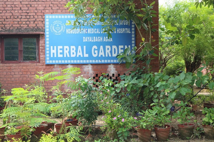 Dayalbagh Homoeopathic Medical College campus in Agra, Uttar Pradesh, India — photo 3