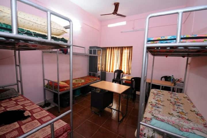 Baselius College campus in Kottayam, Kerala, India — photo 4