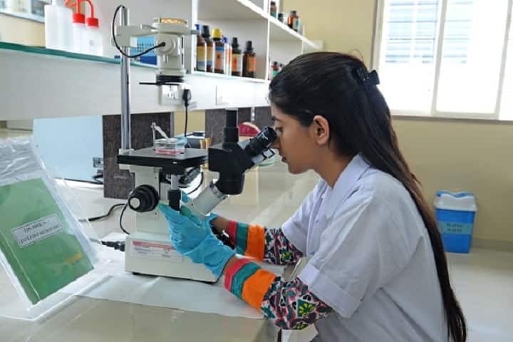 Dr DY Patil School of Science and Technology campus in Pune, Maharashtra, India — photo 1