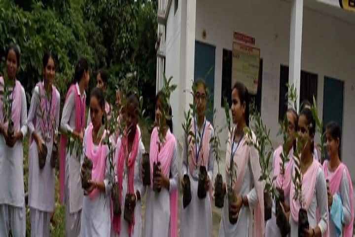 Hafiz Rahmat Khan Degree College campus in Pilibhit, Uttar Pradesh, India — photo 3