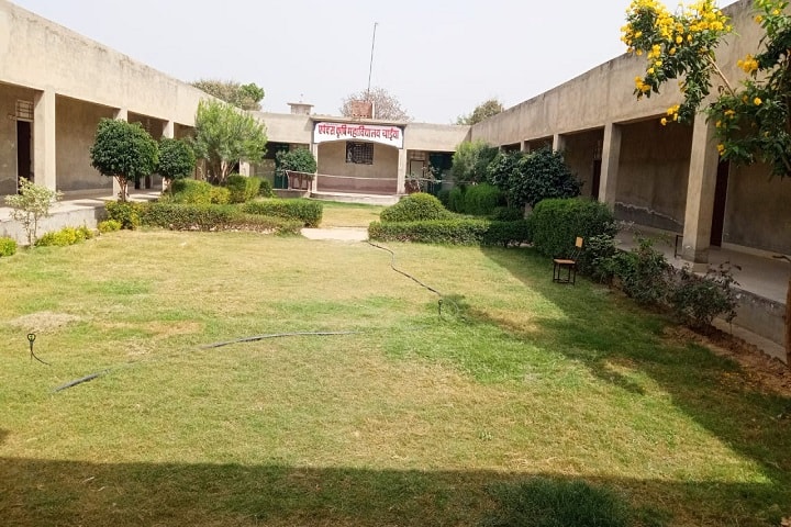 Apex Agriculture College campus in Chaiya, Rajasthan, India — photo 1