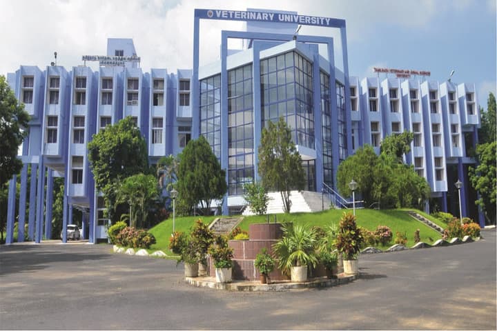 TANUVAS Chennai campus in Chennai, Tamil Nadu, India