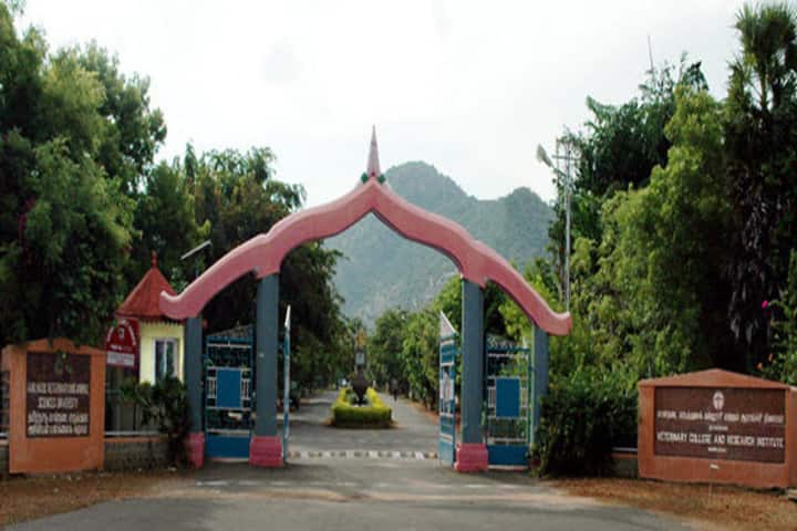 TANUVAS Chennai campus in Chennai, Tamil Nadu, India — photo 3