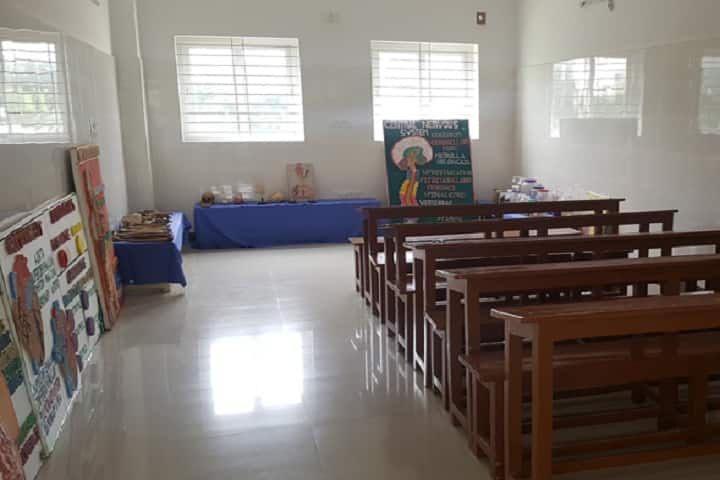 Santhi College of Health Sciences campus in Hosur, Tamil Nadu, India — photo 2