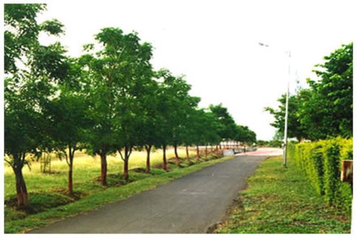 SGBAU Amravati campus in Amravati, Maharashtra, India — photo 4