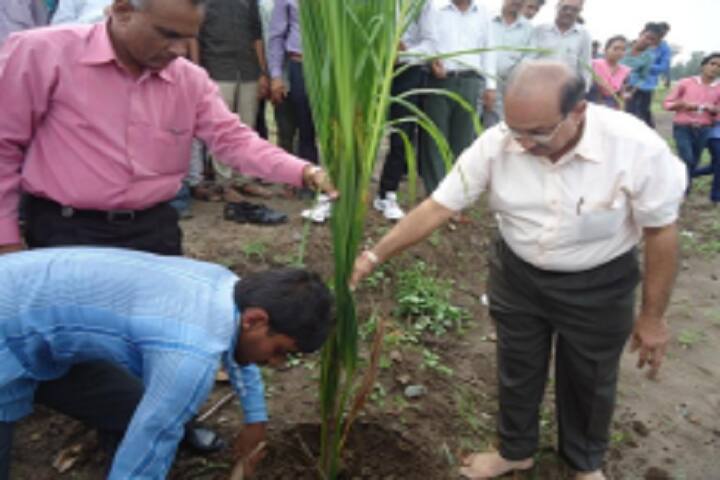 Polytechnic in Agriculture campus in Bharuch, Gujarat, India — photo 2