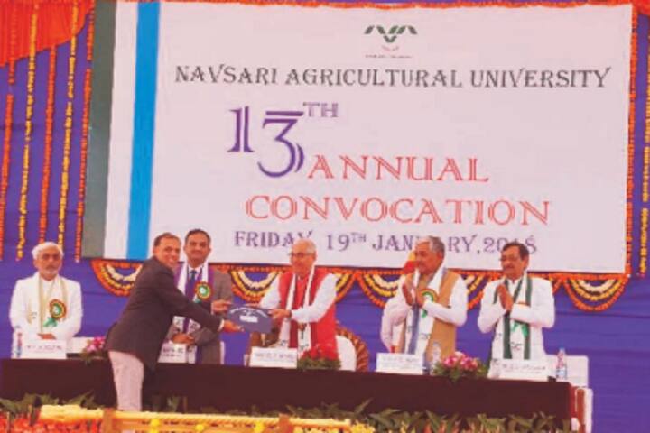 College of Agriculture campus in Bharuch, Gujarat, India — photo 5