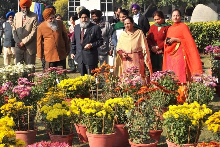 Punjabi University campus in Patiala, Punjab, India — photo 5