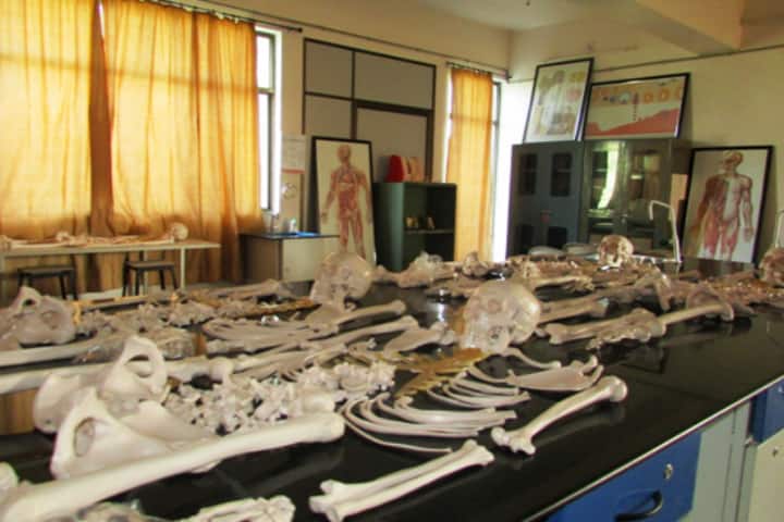 Manikaka Topawala Institute of Nursing campus in Changa, Gujarat, India — photo 3