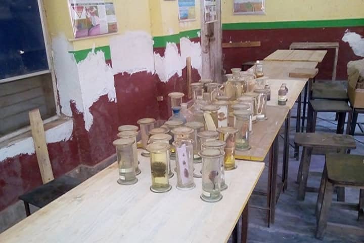 Shri Haridutt Degree College campus in Bharatpur, Rajasthan, India — photo 5