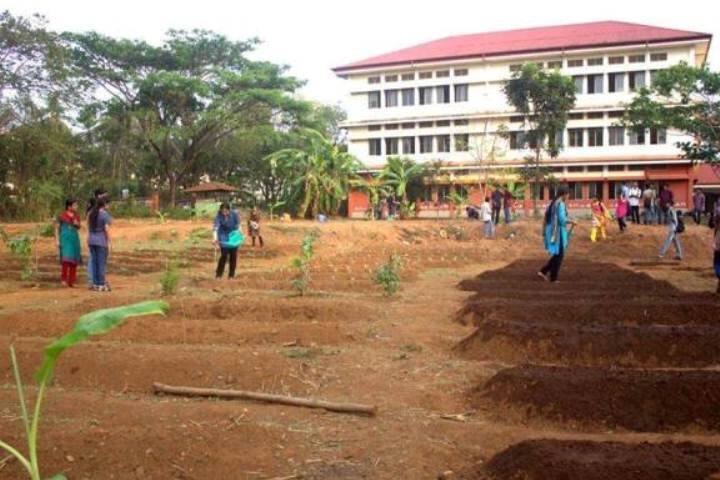 NIT Calicut campus in Kozhikode, Kerala, India — photo 3