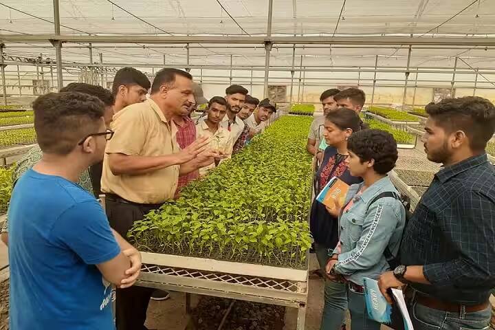 DD College campus in Dehradun, Uttarakhand, India — photo 5