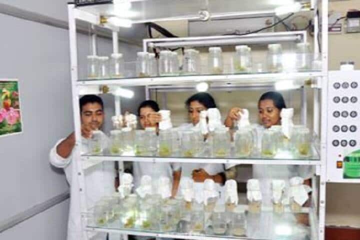 Mar Thoma College of Science and Technology campus in Kollam, Kerala, India — photo 3