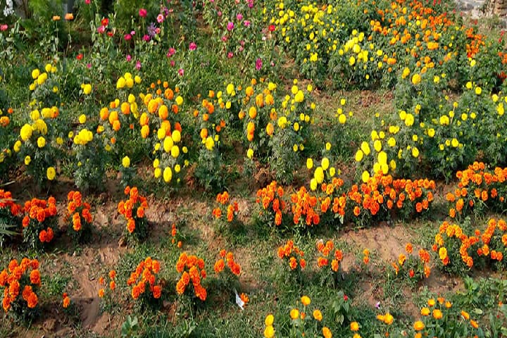 Government General Degree College campus in Medinipur, West Bengal, India — photo 2
