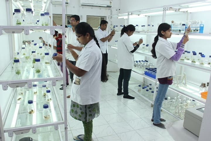 Yashraj Institute of Pharmacy campus in Lucknow, Uttar Pradesh, India — photo 2