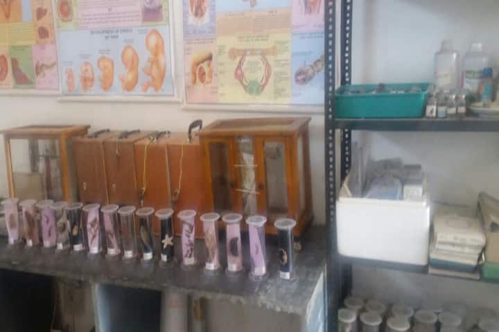 Mahakoshal College of Science campus in Ludgi, Madhya Pradesh, India — photo 3