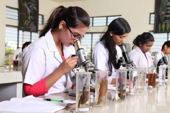 East West First Grade College of Science campus in Bangalore, Karnataka, India — photo 2