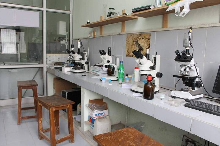 Government National College campus in Sirsa, Haryana, India — photo 5
