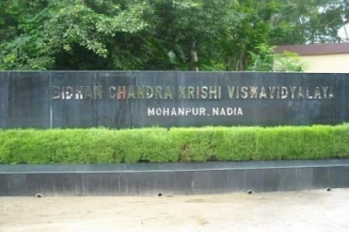 BCKV Nadia campus in Manpur, West Bengal, India — photo 4