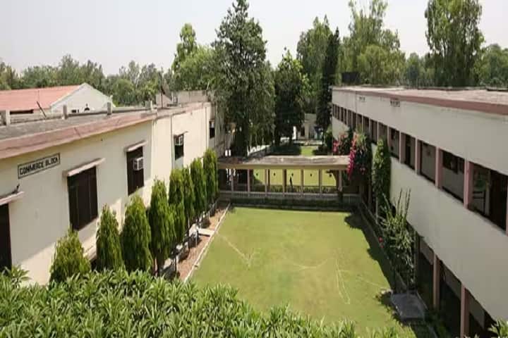 Banarsi Dass Arya Girls College campus in Jalandhar, Punjab, India — photo 4
