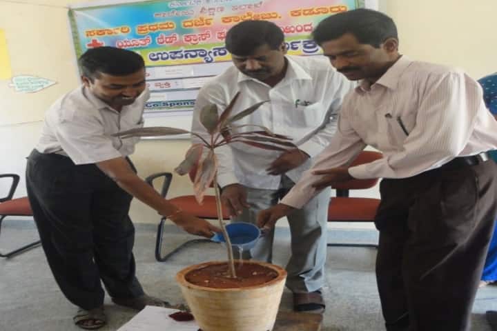 Government First Grade College campus in Kadur, Karnataka, India — photo 4