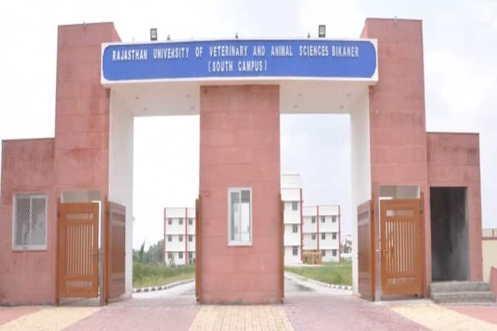 RAJUVAS Bikaner campus in Bikaner, Rajasthan, India — photo 2