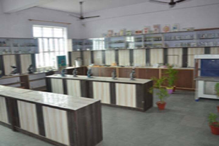 Smt Parvati Devi Girls College campus in Alwar, Rajasthan, India — photo 3