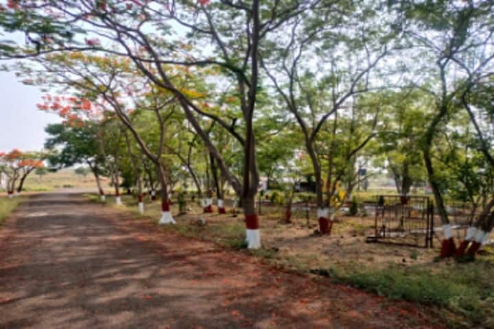 Late Dr Shankarrao Satav Arts and Commerce College campus in Kalamnuri, Maharashtra, India — photo 1