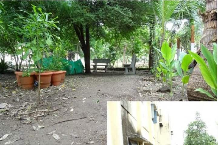 Toshniwal Arts Commerce and Science College campus in Hingoli, Maharashtra, India — photo 2