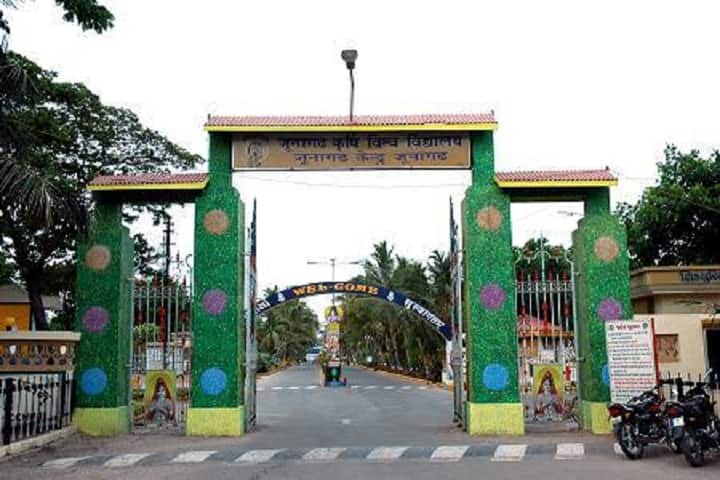 JAU Junagadh campus in Junagadh, Gujarat, India — photo 3