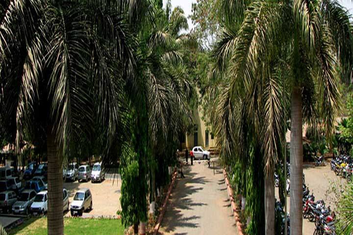 Bharati Vidyapeeth, Pune campus in Pune, Maharashtra, India