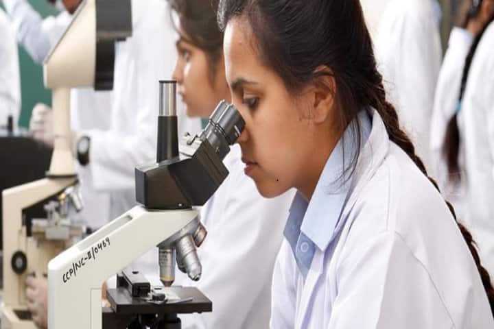 Chitkara College of Pharmacy campus in Chandigarh, India — photo 2