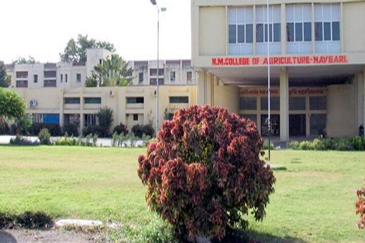 NM College of Agriculture, Navsari campus in Navsari, Gujarat, India