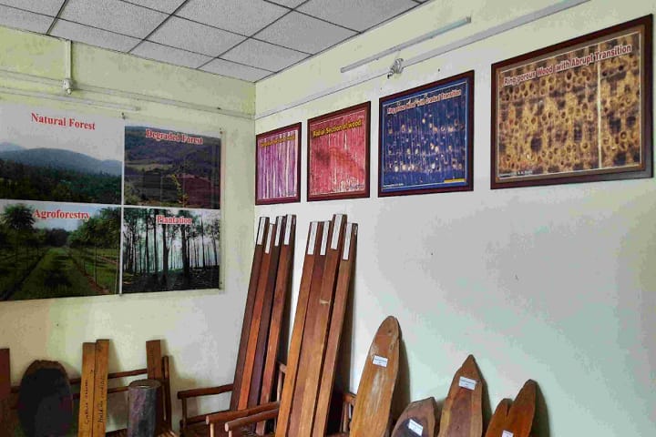 NM College of Agriculture, Navsari campus in Navsari, Gujarat, India — photo 3