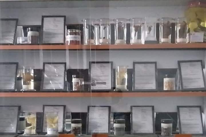 State Ayurvedic College and Hospital campus in Lucknow, Uttar Pradesh, India — photo 4