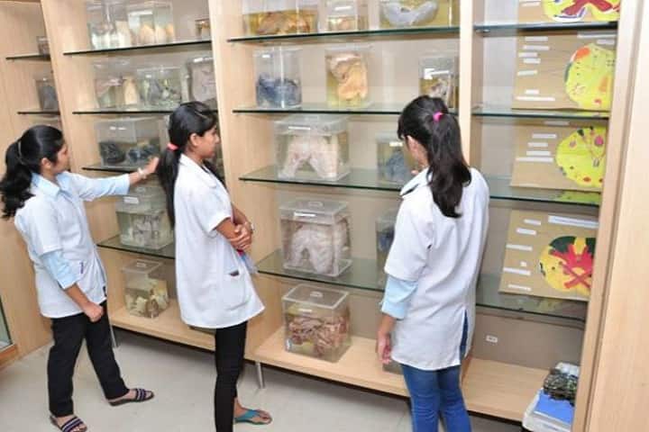 Dr DY Patil College of Ayurved and Research Centre campus in Pimpri-Chinchwad, Maharashtra, India — photo 2