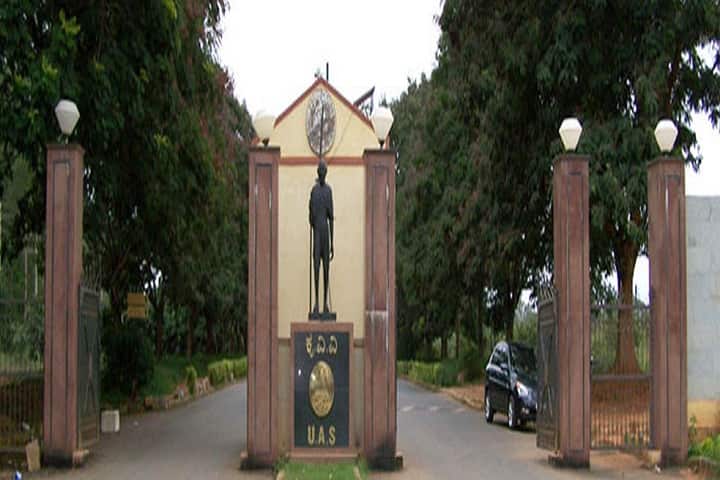 UAS Bangalore campus in Bangalore, Karnataka, India — photo 4