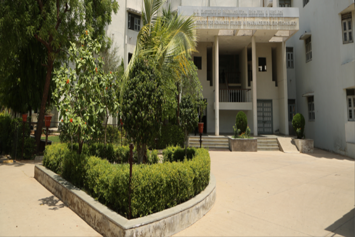KBIPER Gandhinagar campus in Gandhinagar, Gujarat, India — photo 2