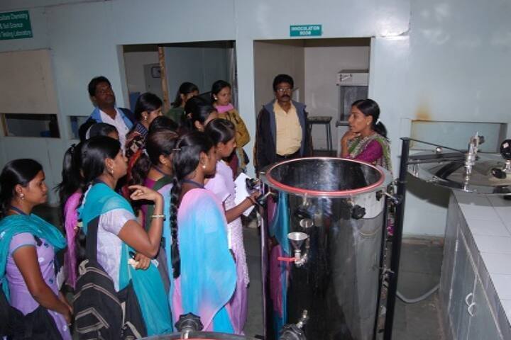 Rayat Shikshan Sanstha's Yashwantrao Chavan Mahavidyalaya campus in Panchwad, Maharashtra, India — photo 4