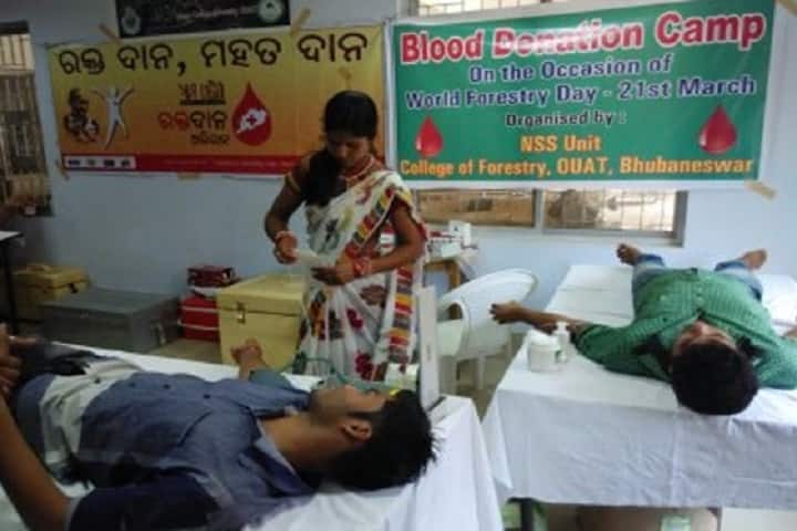 College of Forestry campus in Bhubaneswar, Odisha, India — photo 4