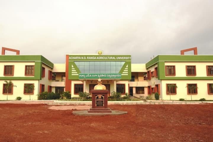 ANGRAU Guntur campus in Guntur, Andhra Pradesh, India — photo 2