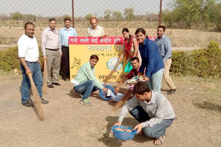RLBCAU Jhansi campus in Jhansi, Uttar Pradesh, India — photo 4