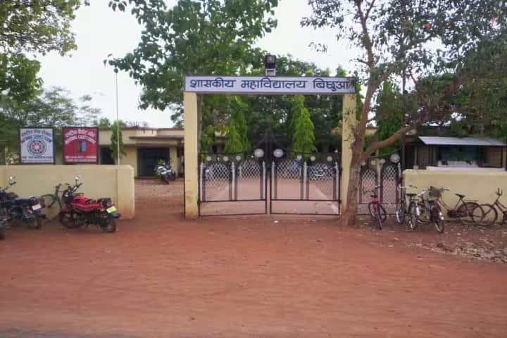 Government Degree College campus in Bichhua, Madhya Pradesh, India — photo 1