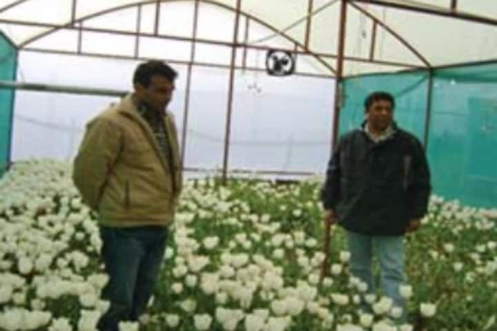 SKUAST Kashmir campus in Jammu, Jammu and Kashmir, India — photo 3