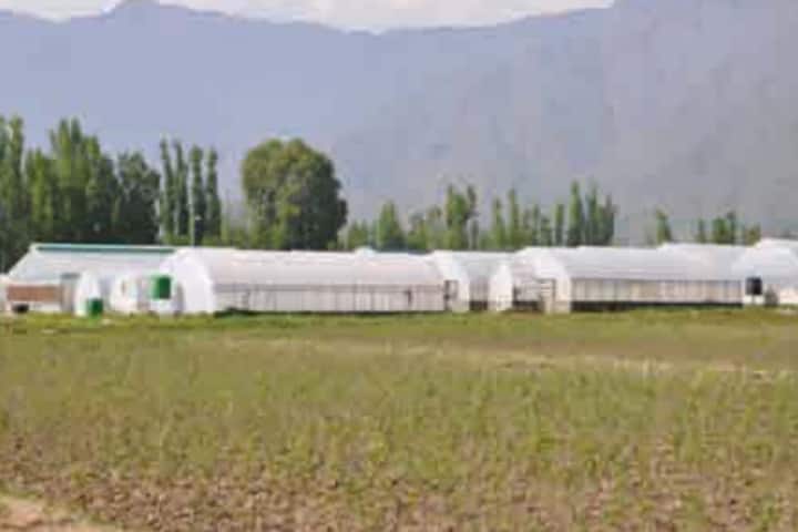 SKUAST Kashmir campus in Jammu, Jammu and Kashmir, India — photo 5
